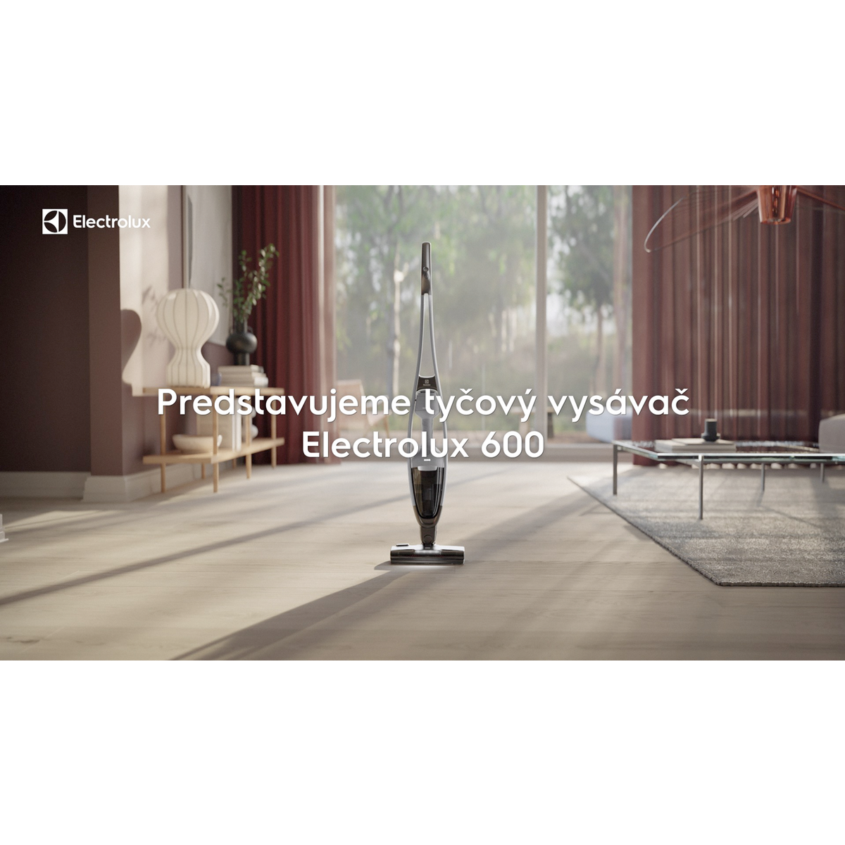 Electrolux - Tyčový vysávač - ES62CB25UG