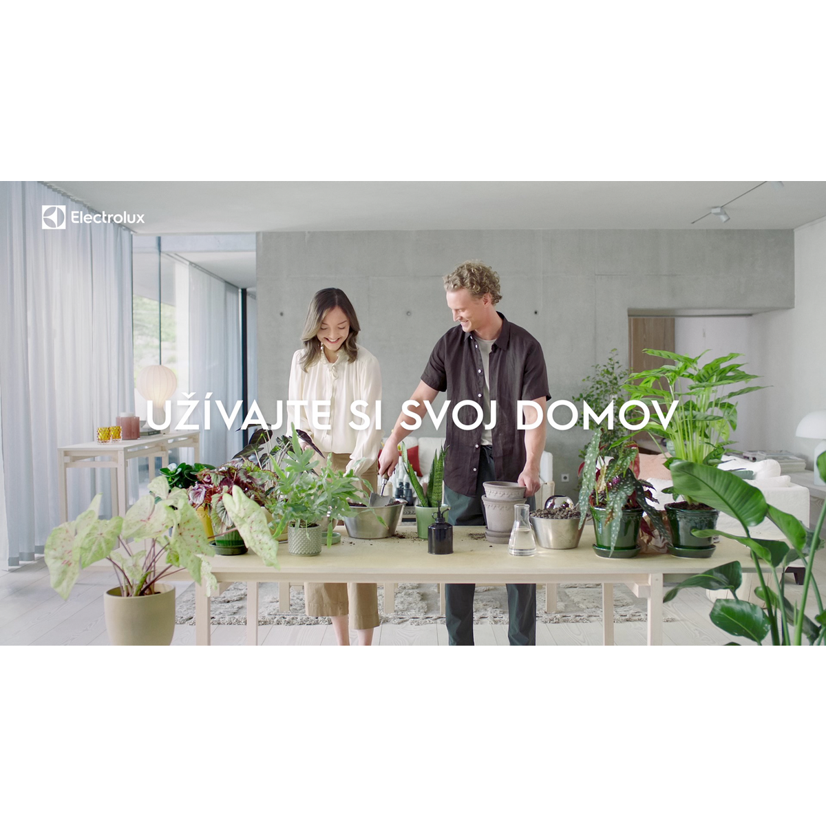 Electrolux - Tyčový vysávač - WQ71-P50IB