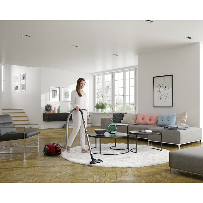 Electrolux - Vreckový vysávač - EPF6ANIMAL