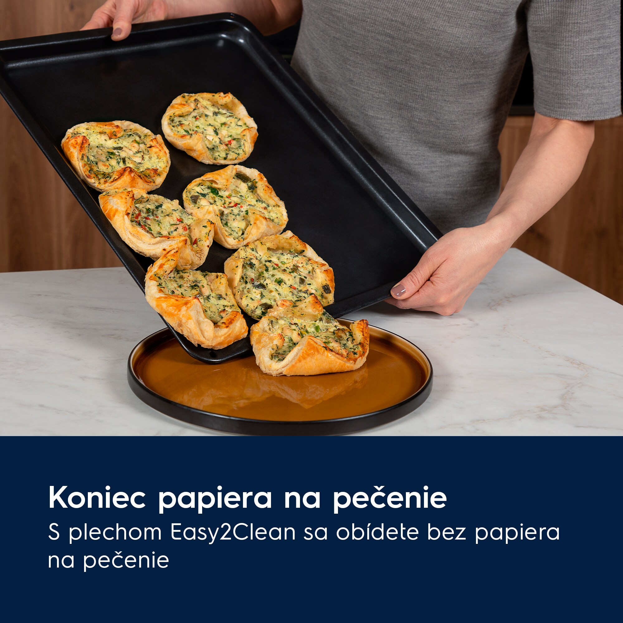 Electrolux - Plech na pečenie - E9OOAF11