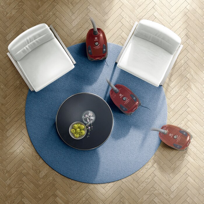Electrolux - Vreckový vysávač - EPF6ANIMAL