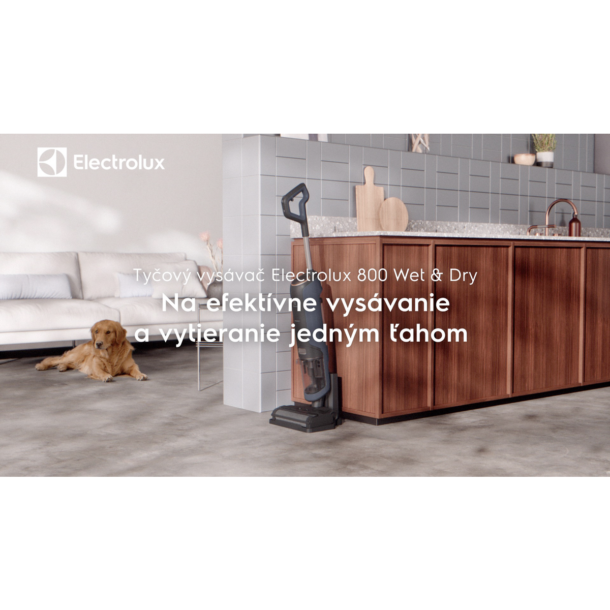 Electrolux - Tyčový vysávač Wet&Dry - EW81U3DB
