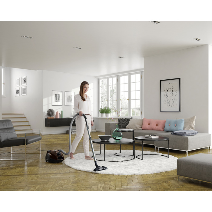 Electrolux - Vreckový vysávač - EPF65BR