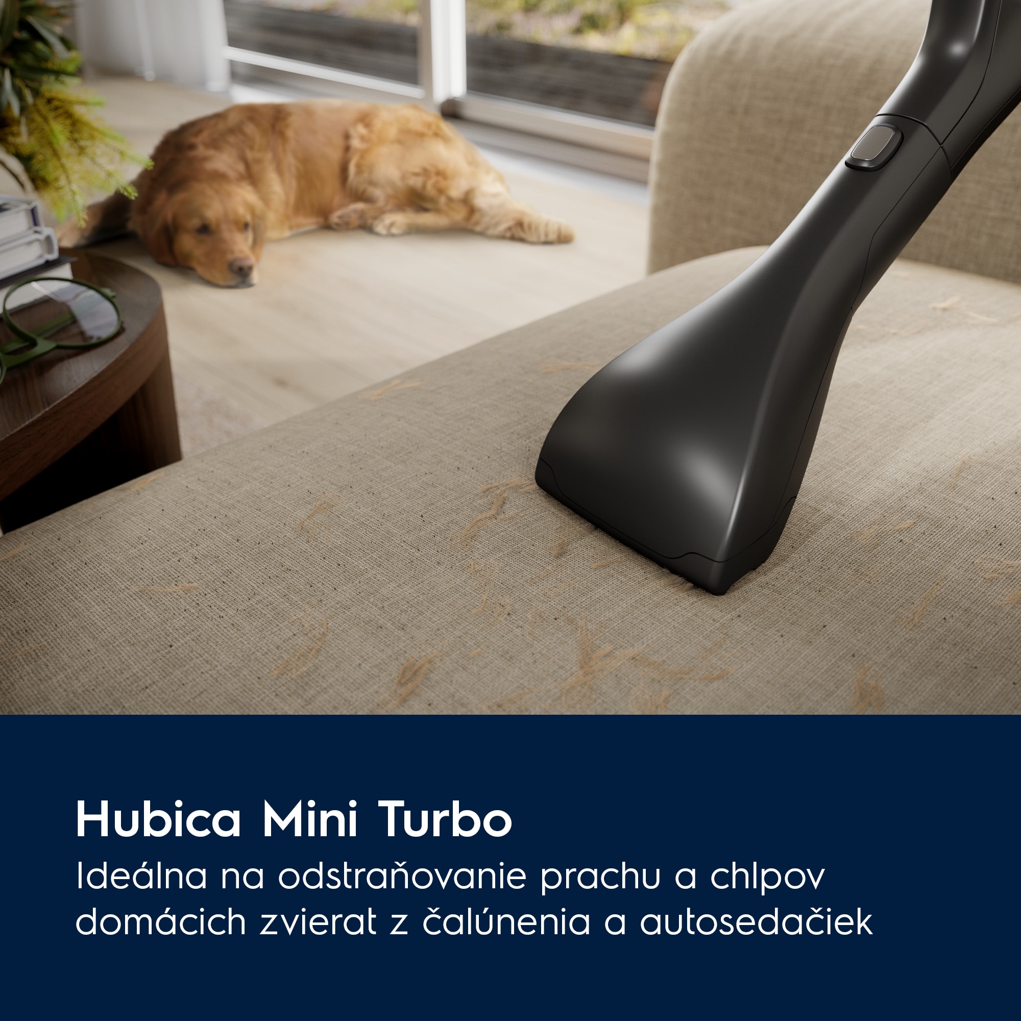Electrolux - Vreckový vysávač - EB81A3UG