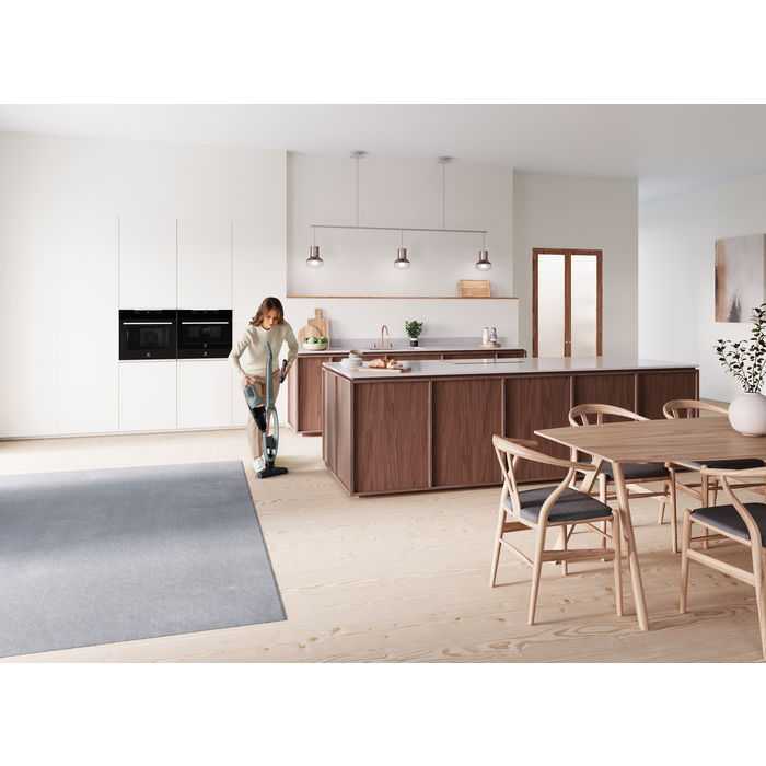 Electrolux - Tyčový vysávač - WQ61-40OG