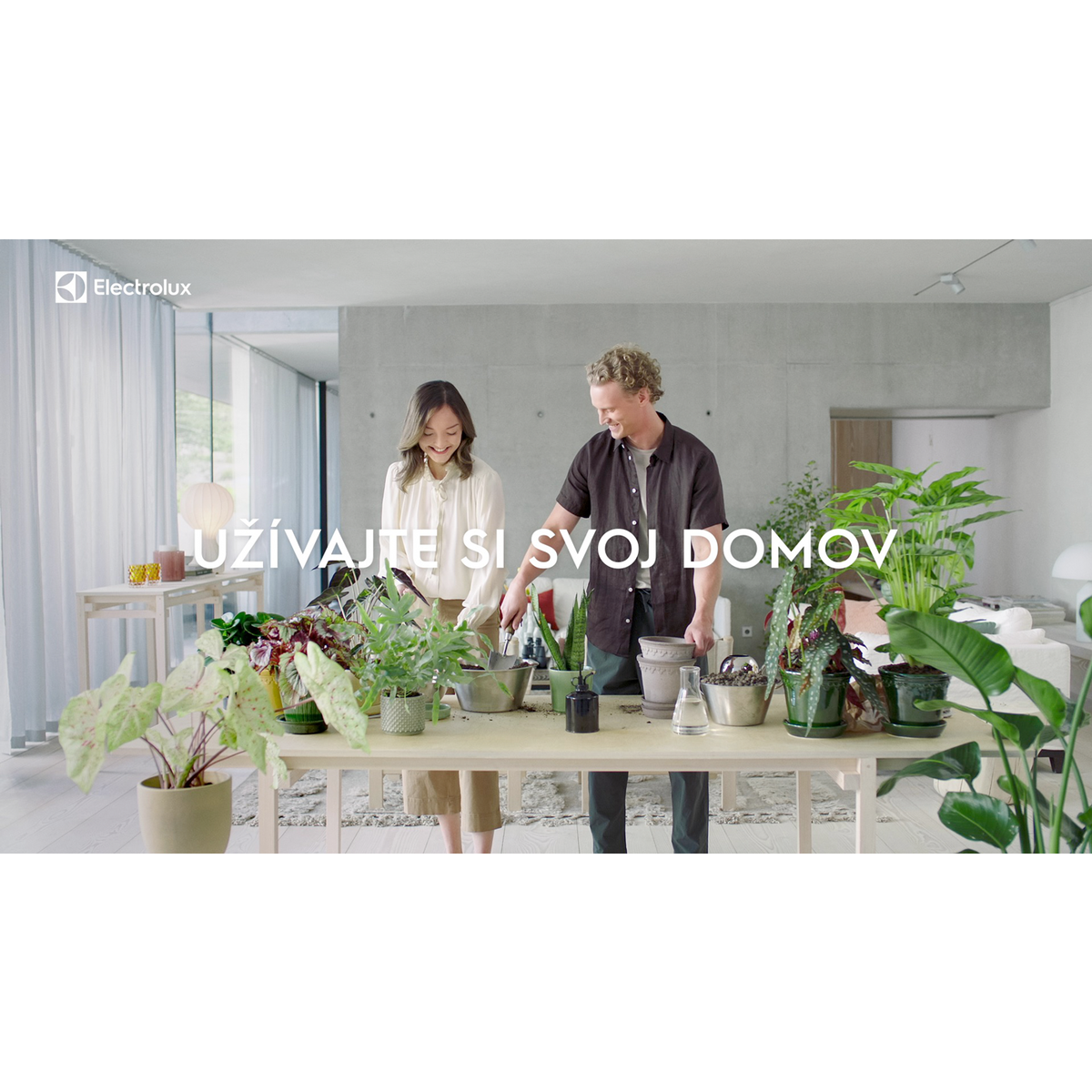 Electrolux - Tyčový vysávač - WQ71-50IB