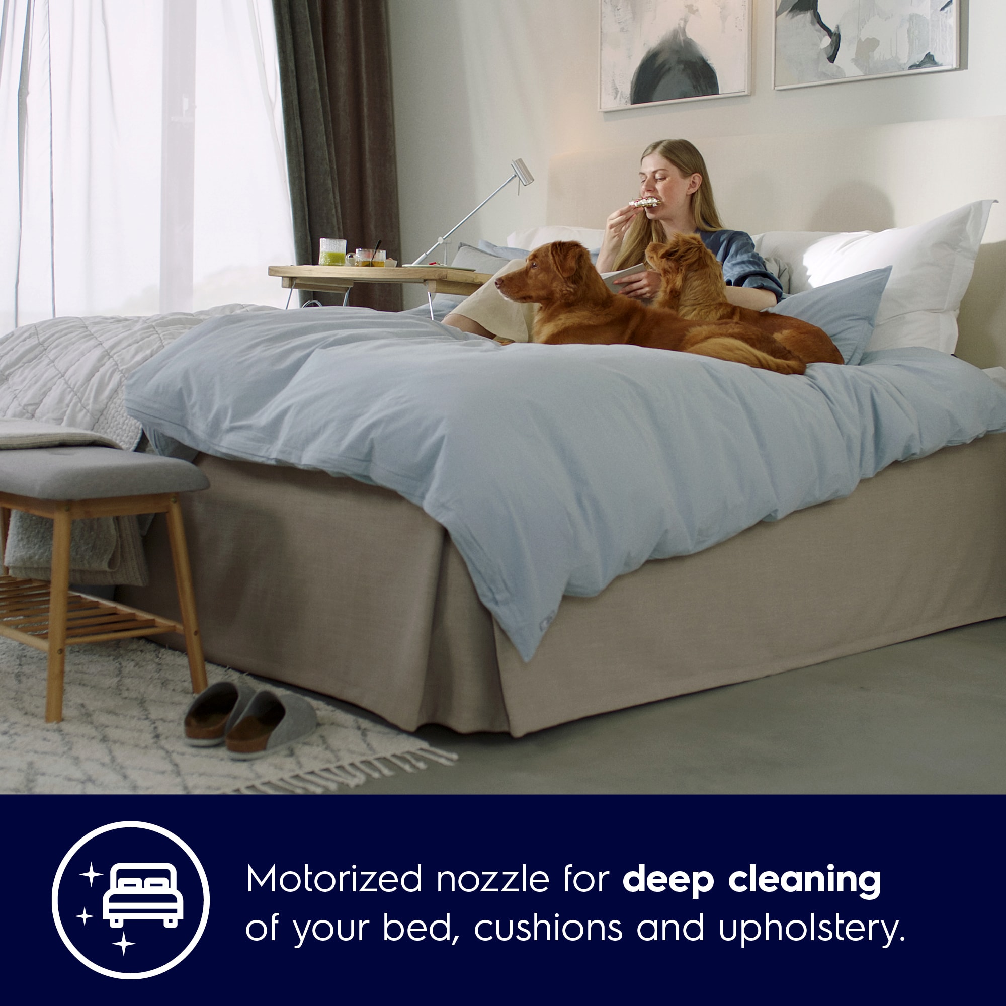 Electrolux - Hubica - ZE139A