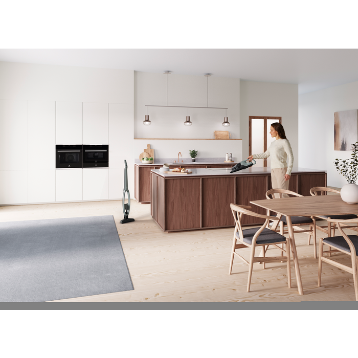 Electrolux - Tyčový vysávač - WQ61-40OG