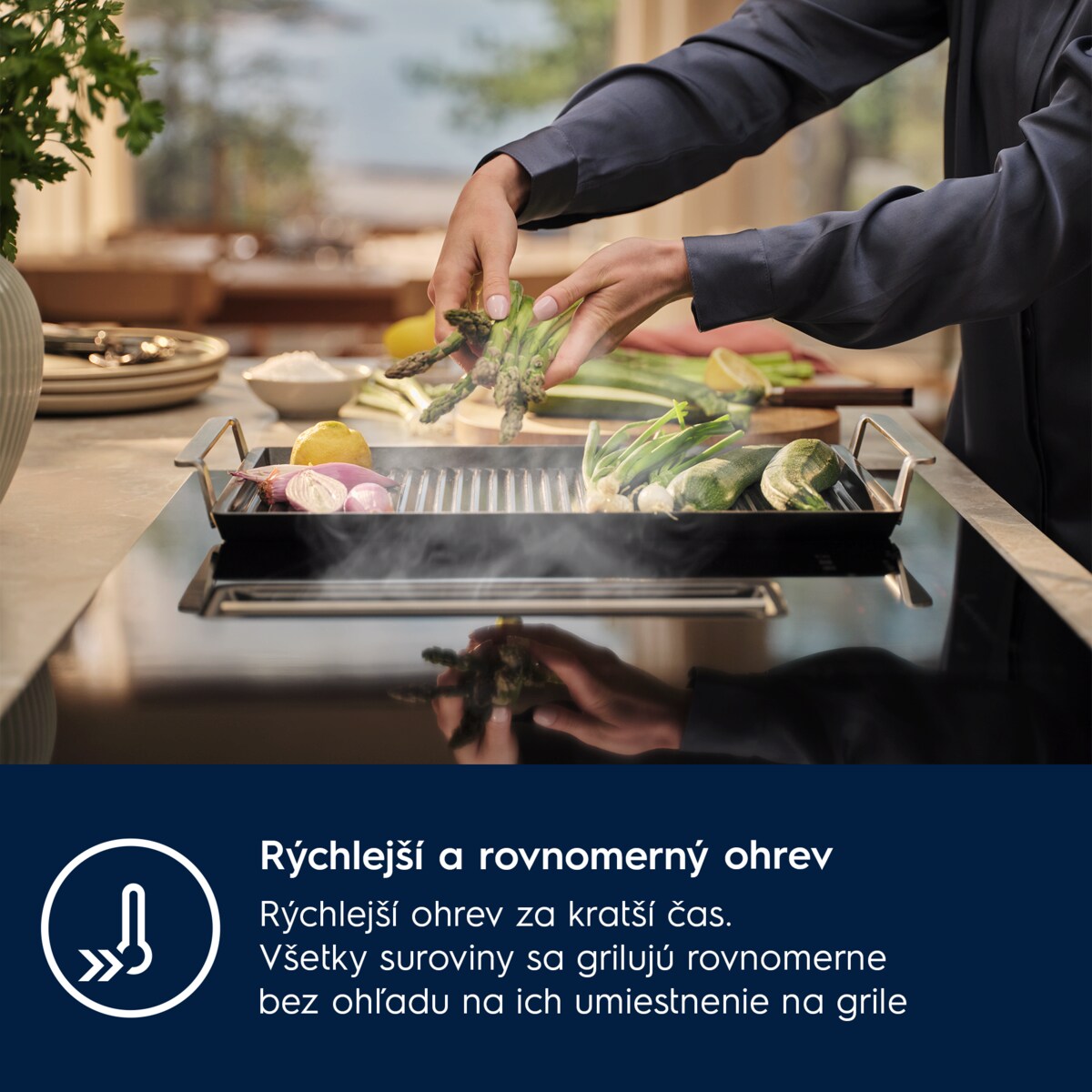 Electrolux - Gril Plancha - E9HHPG11