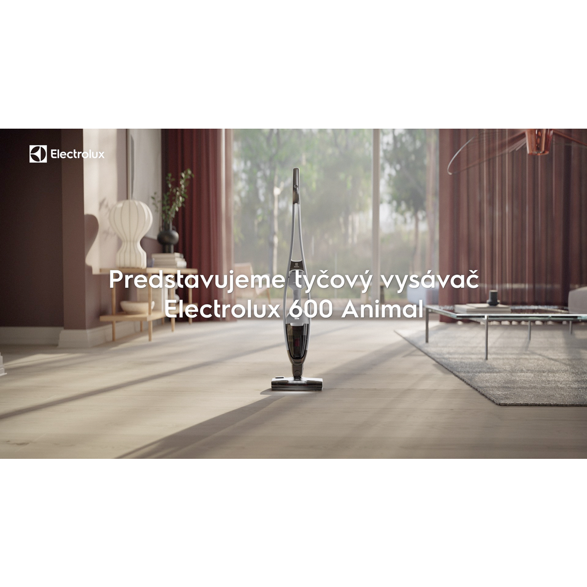 Electrolux - Tyčový vysávač - ES62AB25UG