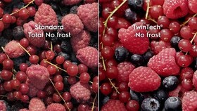 Different berries displayed in different condition.