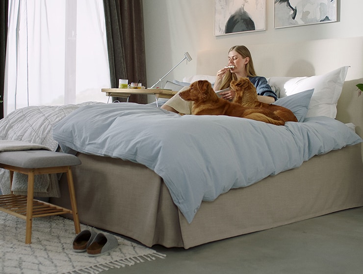 Woman and two dogs sitting on a bed.